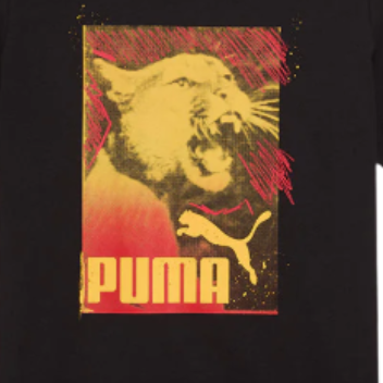 Camiseta Graphics Photoprint Puma