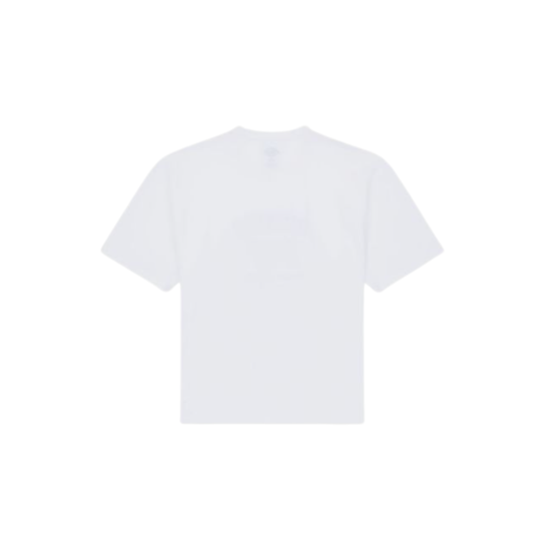 Camiseta Laundry Boxy Tee Dickies