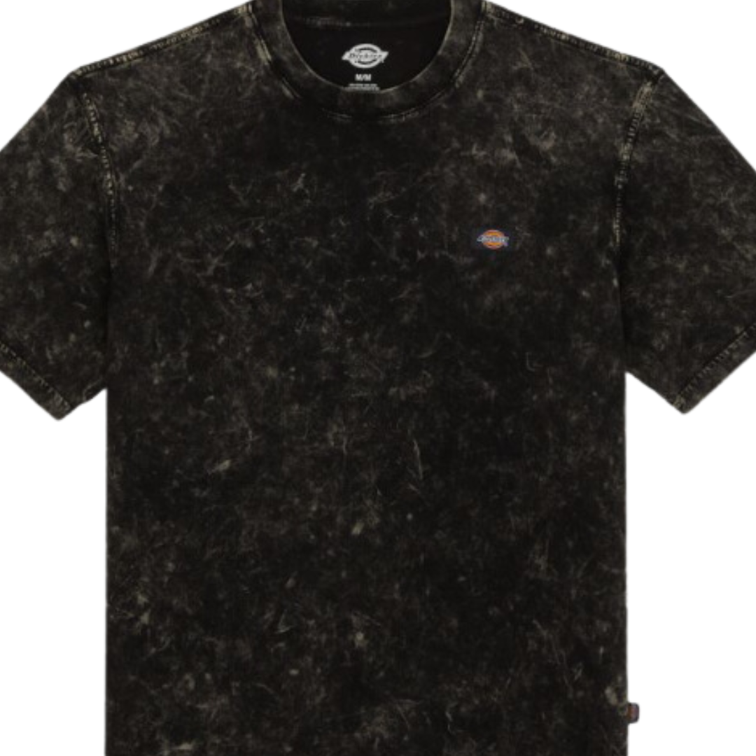 Camiseta Newington Dickies