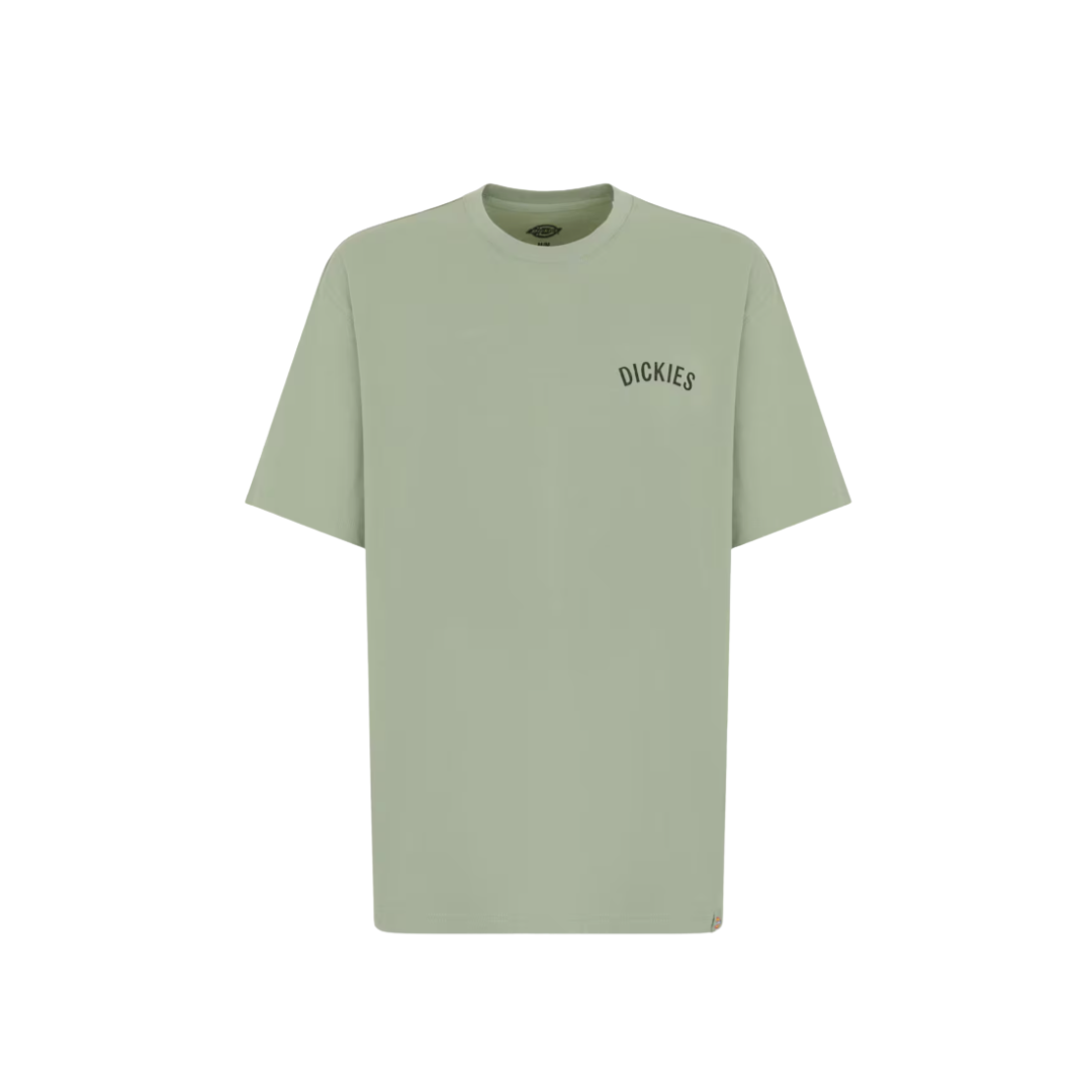 Camiseta Dickies Snake Tee Dickies