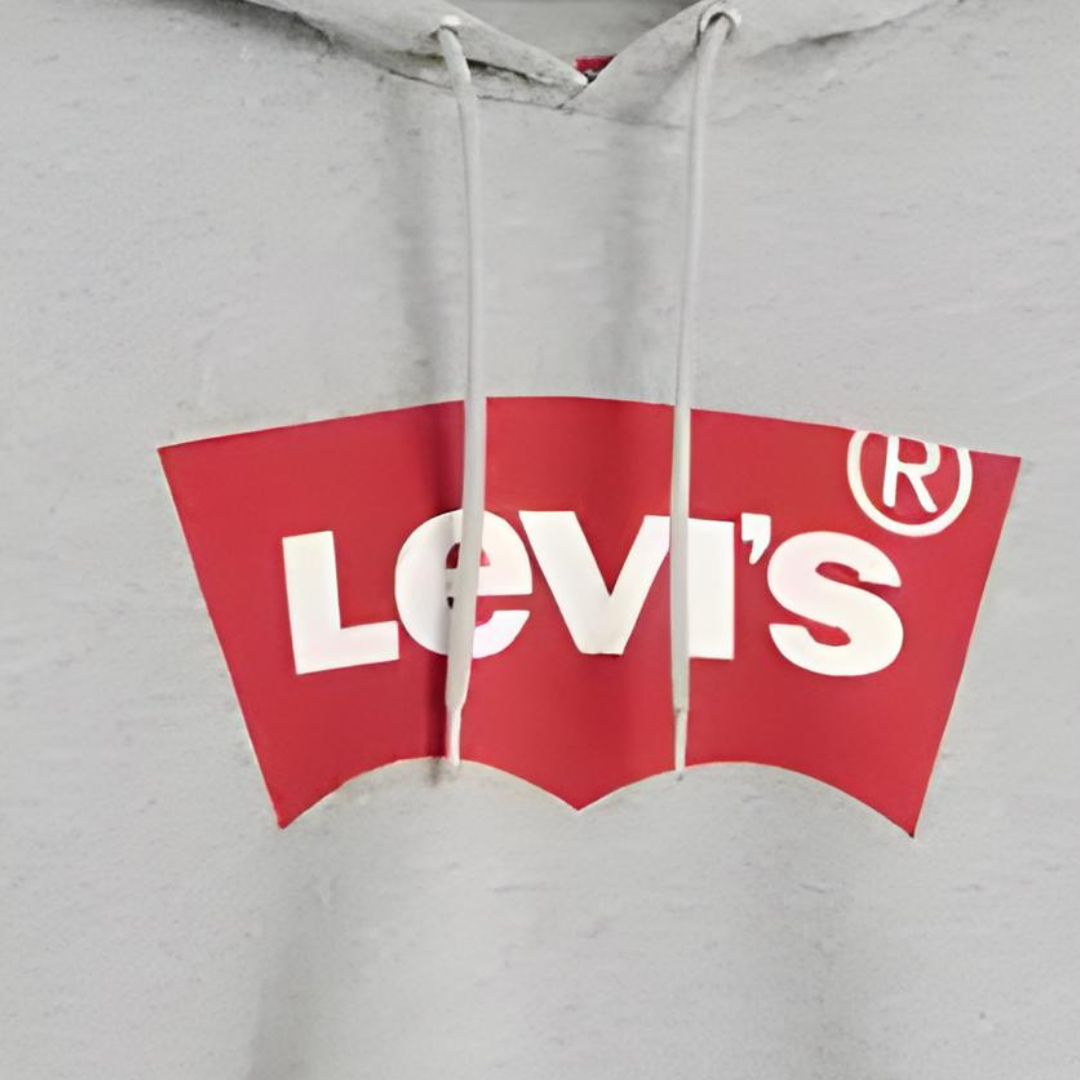 Sudadera gráfica con capucha Levi's