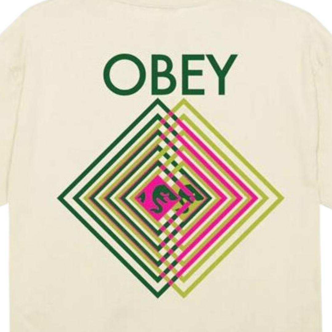 Camiseta Double Vision Obey