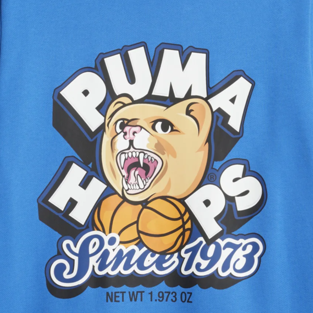 Sudadera Dylan Basketball Puma Hoops