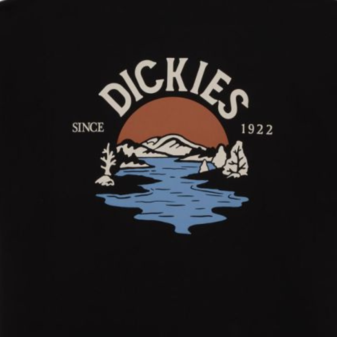 Camiseta Beach negra Dickies