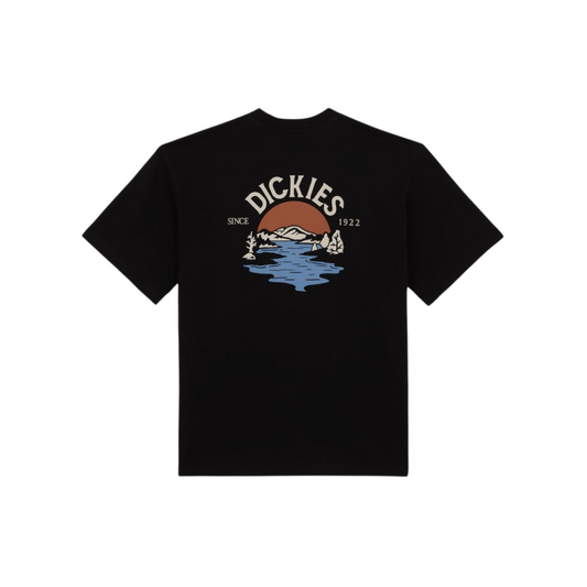 Camiseta Beach negra Dickies