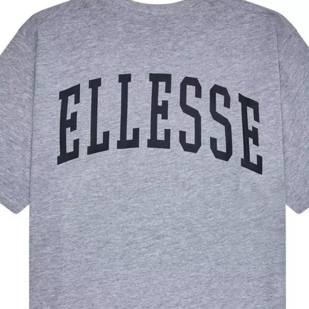 Camiseta Harvardo gris Ellesse