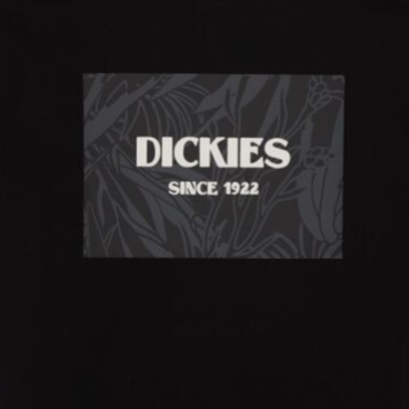 Camiseta Max Meadows Dickies