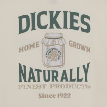 Camiseta Elliston Dickies