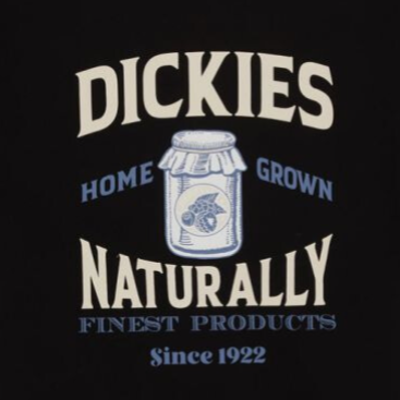 Camiseta Elliston Dickies