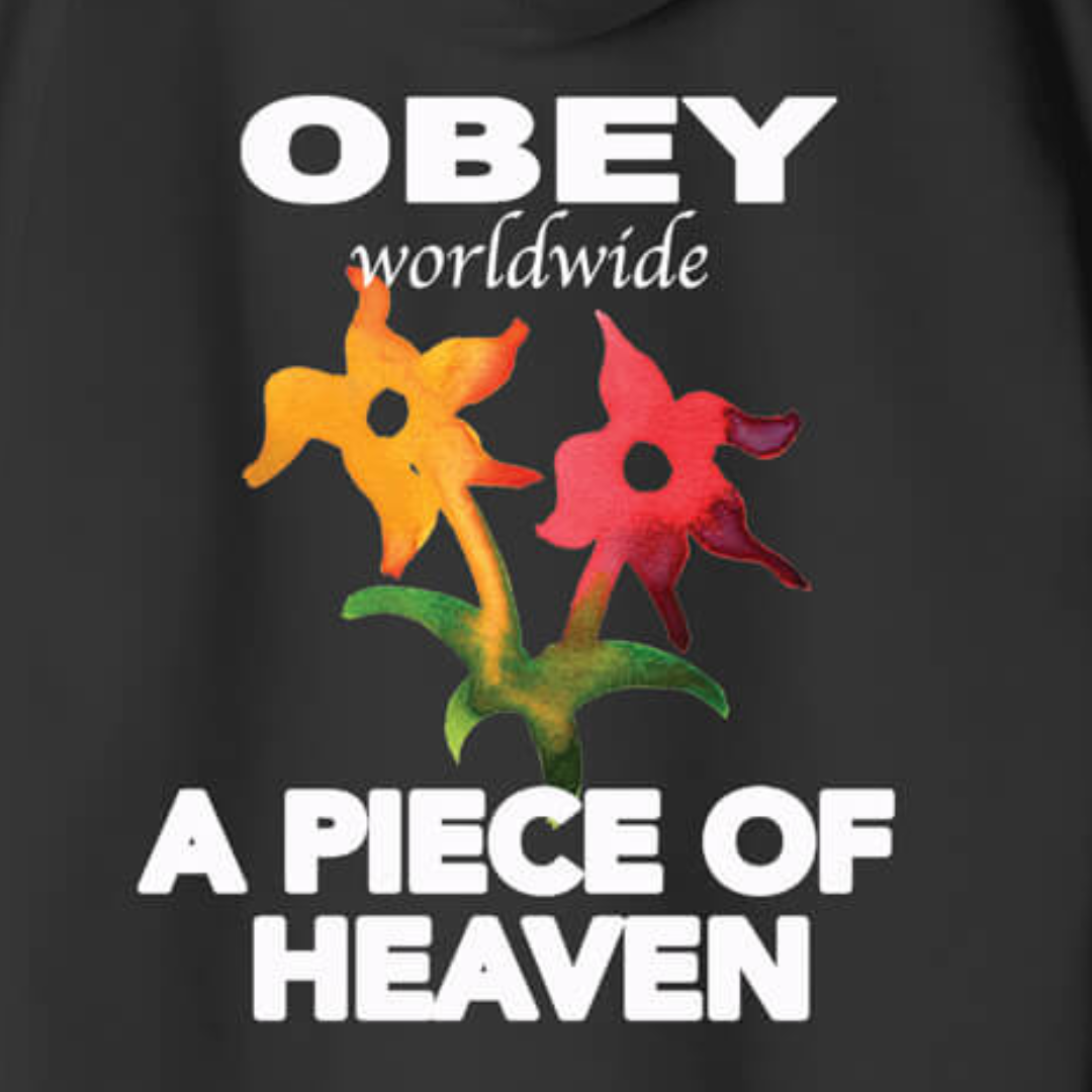 Sudadera a piece of heaven Obey