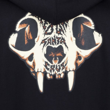 Sudadera Sw Skull Santa Cruz