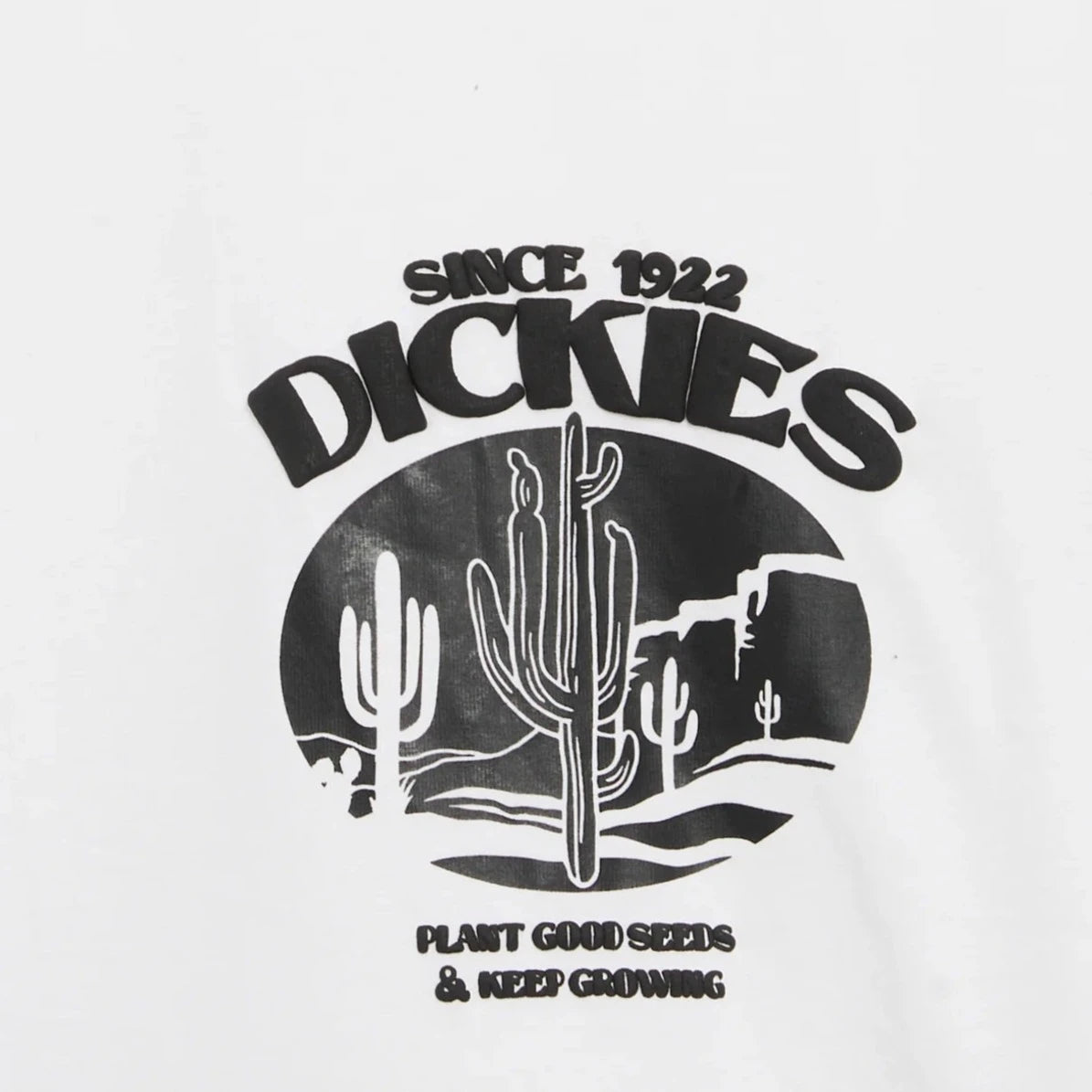 Camiseta Timberville Dickies